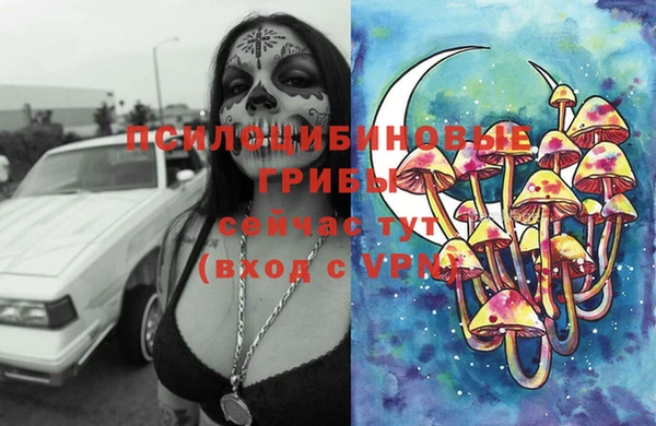 сатива Балабаново