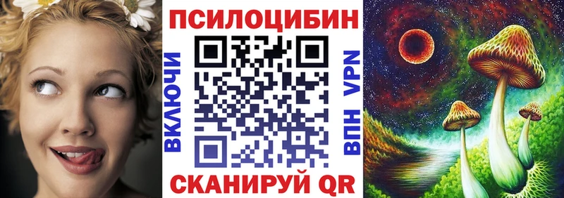 Галлюциногенные грибы Cubensis  магазин продажи   Верея 